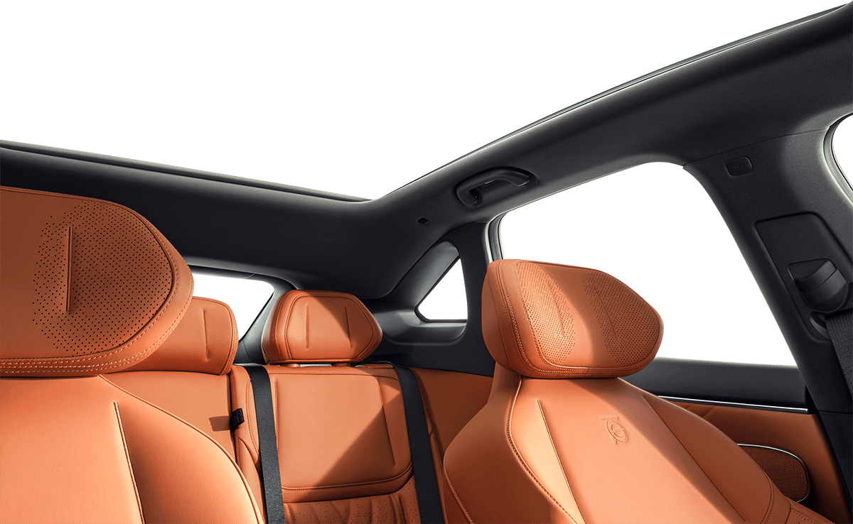Panoramic - roof & seats